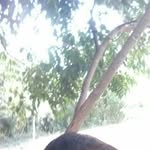 Elvin Dionicio González Rramos - @elvindioniciogonzalezrramos - Instagram