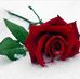 Elvin Eldar - Facebook