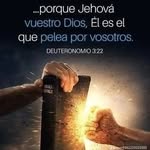 elvin ellis becker rolet - @elvinellisbecker - Instagram