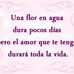 Elvin Espinal - Facebook