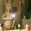 elvinespinal35 - @elvinespinal35 - TikTok