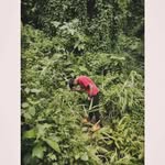 elvin king - @elvinking66 - Instagram