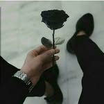 real.elvinm - @elvin._.king - Instagram