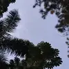 Elvin Leon - @elvin.leon0 - TikTok