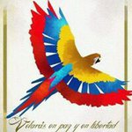 Elvin R Leon Diaz - @elvin.leon - Instagram