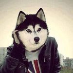 Elvin Nuriyev Bakili Like - @bakililike - Instagram