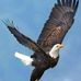 Elvin Lopez - Facebook