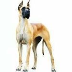 Elvin Luna - @elvin.luna.7 - Instagram