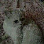 Elvin - @elvin_mason - Instagram