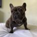 Elvin Mills - Facebook
