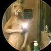 granmae3991 - @elvinmolina372 - TikTok