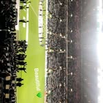 Kelvin Moore - @kelvinmoore10 - Instagram