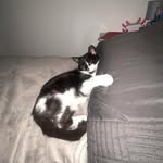 Kelvin Murray - @kelvinmurray777 - Instagram