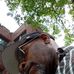 Elvis Neely - Facebook