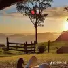 Elvin pedro Domingo - @elvin.pedro.domin - TikTok