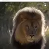 Elvin Quiñones - @elvin.quiones0 - TikTok