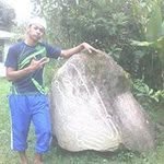 Elvin Rios - @elvin3020 - Instagram