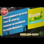 Elvin Roman - @elvinromanacevedo - Instagram