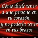 Elvin Rosa - @elvinrosa88 - Instagram