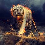 Elvin Thomas - @_elvin_thomas_ - Instagram