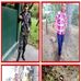 Elvin Vasquez - Facebook