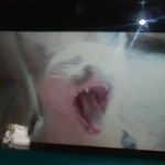 Elvin Velez - @elvin.velez.773 - Instagram