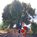 Elvira Bernal - @elvirabernal1 - Instagram