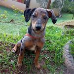Elvira - @_elvira_conrado_de_oliveira - Instagram
