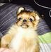 Elvira Conrad - Facebook