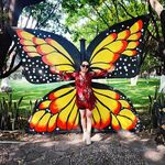 Elvira ❤️ - @elvira_miranda_ - Instagram
