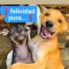Elvira Morales - @elvira.morales15 - TikTok