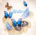 Elvira Olvera - Facebook