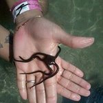 Misa Luna - @elvira.olvera.378 - Instagram
