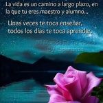 Elvira Serna - @elviraserna3 - Instagram