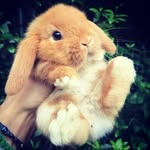 ELVIRA_SIMON!! - @elvirasimon8 - Instagram