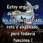 Elvis Aparicio - @elvis.aparicio.5815 - Instagram