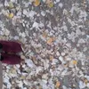 Elvis Badillo - @elvis.badillo - TikTok