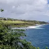 elvis badillo - @elvisj.badillo - TikTok