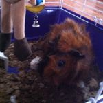 Elvis and Presely Byrd - @elvis_presely_byrd - Instagram