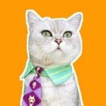 料理猫王 -Cooking Elvis - @cooking.elvis_official - Instagram