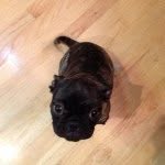 Elvis Cook - @elvis_bugg114 - Instagram