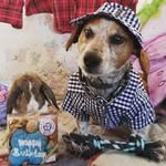 Jackson Elvis Cook - @jacksonelviscook - Instagram