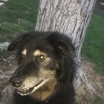 Elvis Charles Cooper - @elvis.pelvis777 - Instagram