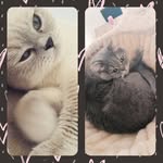 Elvis~Cooper - @elvis__cooper - Instagram