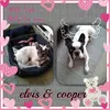 loveiselviscooper - @loveiselviscooper - TikTok