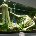 Claus Modler - @elvishansen1 - Instagram