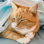 Elvis James Hansen - @ejhansen - Instagram