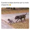 boync.💋 - @elvisjimenez376 - TikTok