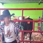 Elvis Juarez - @elvis.juarez.5602 - Instagram