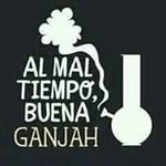 Elvis Juarez - @elvisjuarez9078 - Instagram
